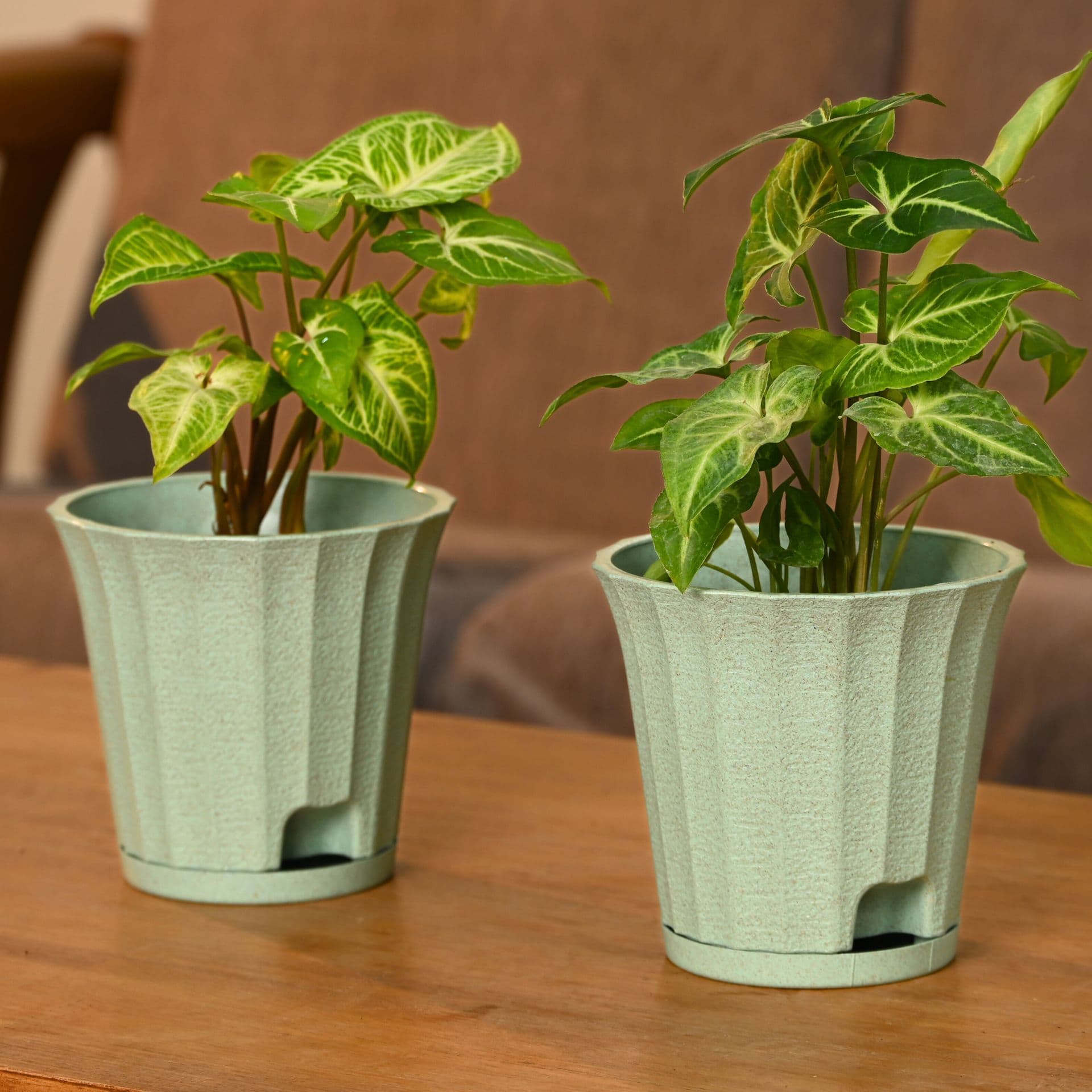Ace Planter 5 - Thulira sustainable product