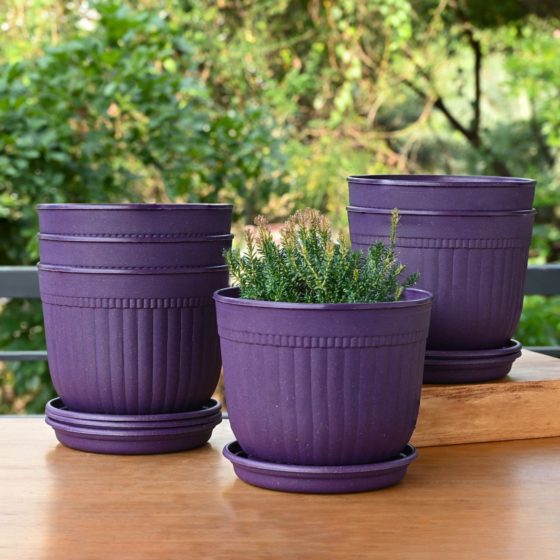 Daisy Planter 7 - Thulira sustainable product