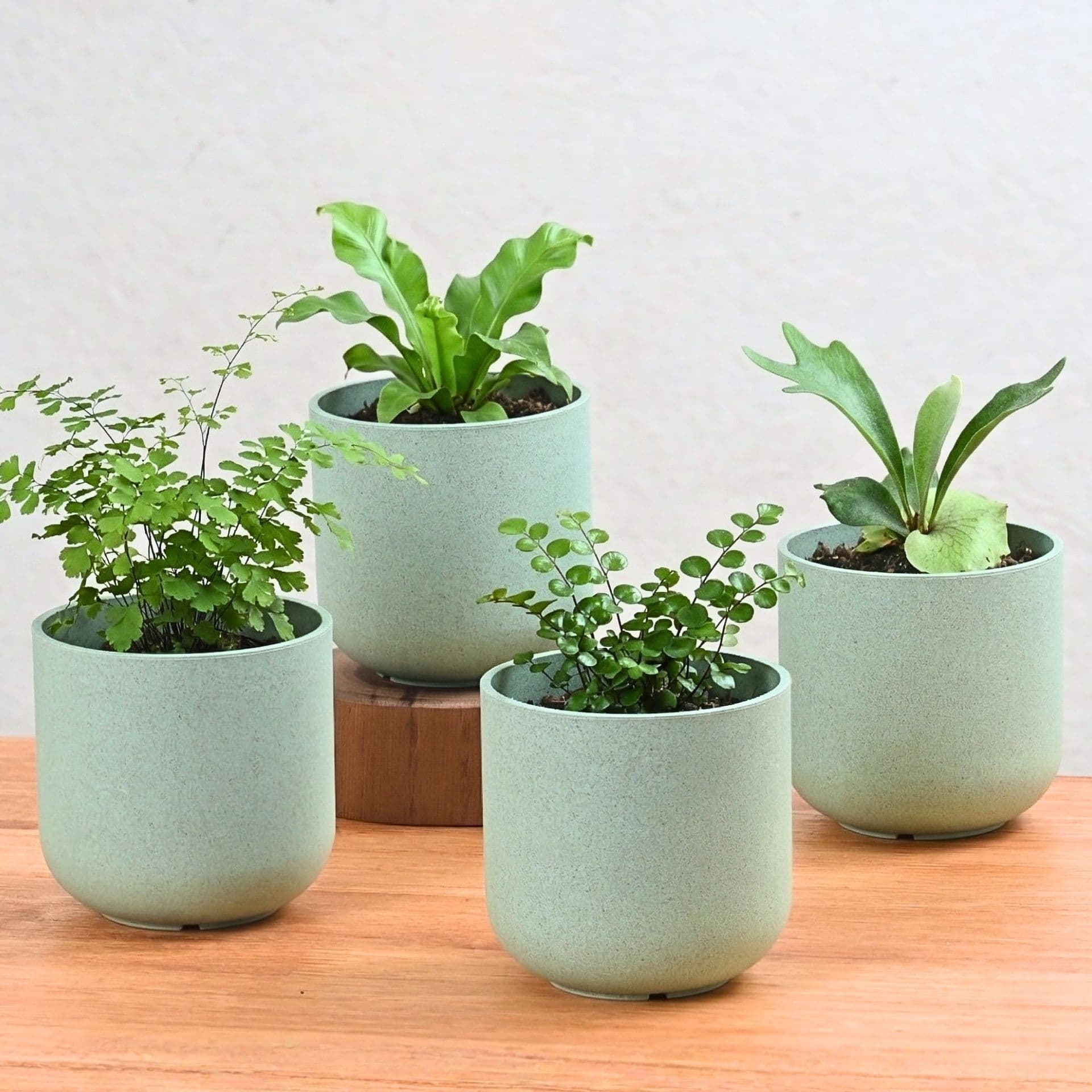 Deco Planter 4 - Thulira sustainable product