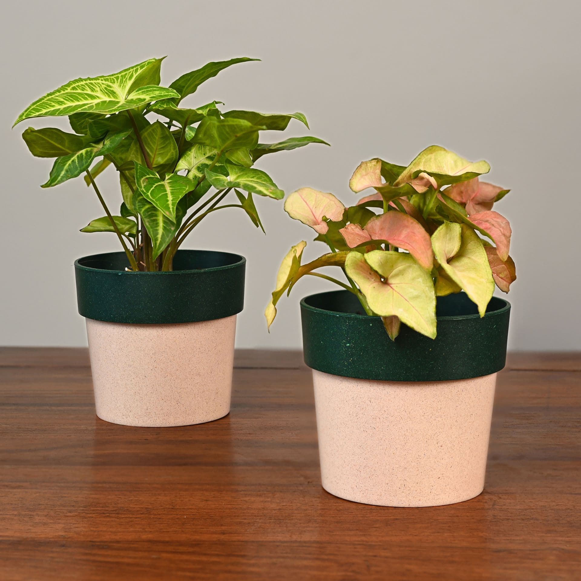 Ecopod Planter 4 - Thulira sustainable product