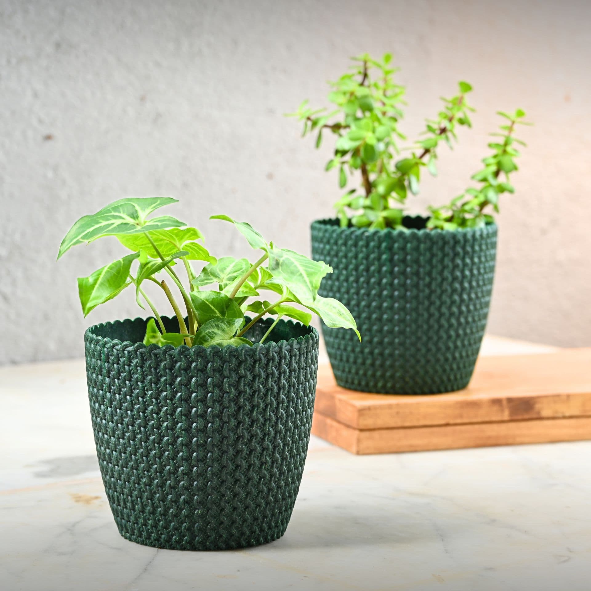 Link Planter 5.5 - Thulira sustainable product