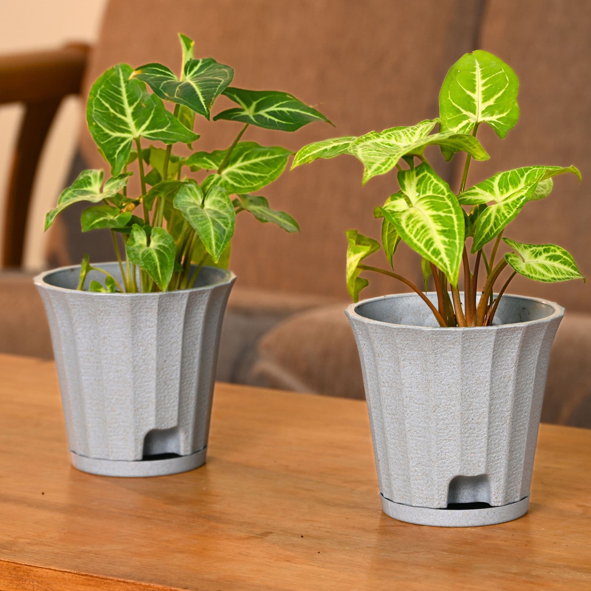 earth friendly ace 5 inch set of 2 small self watering pots for indoor plants plant pot made with bamboo fibers table top planters for home decor flower pot for living room - Thulira sustainable product