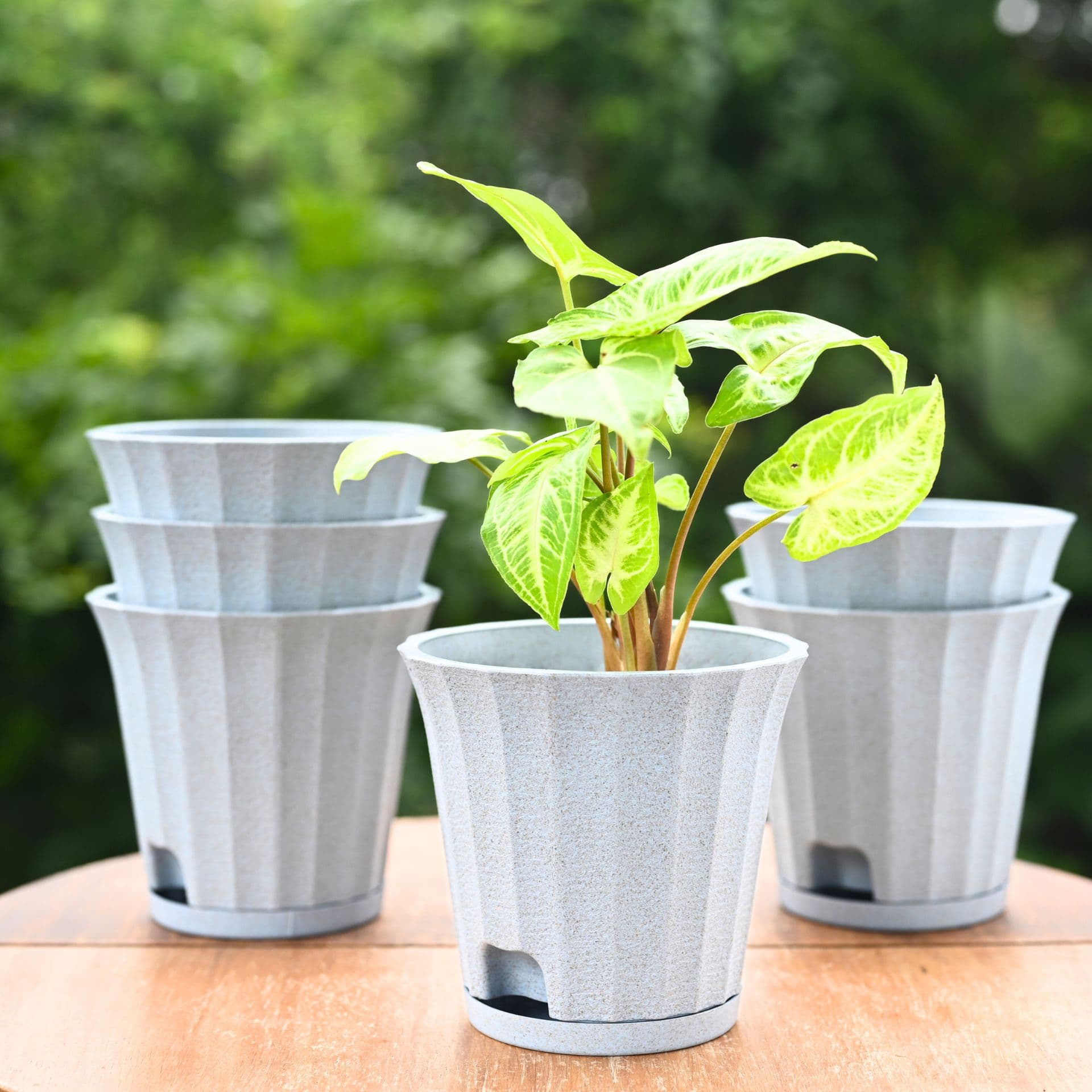 earth friendly ace 5 inch set of 6 small self watering pots for indoor plants plant pot made with bamboo fibers table top planters for home decor flower pot for living room - Thulira sustainable product