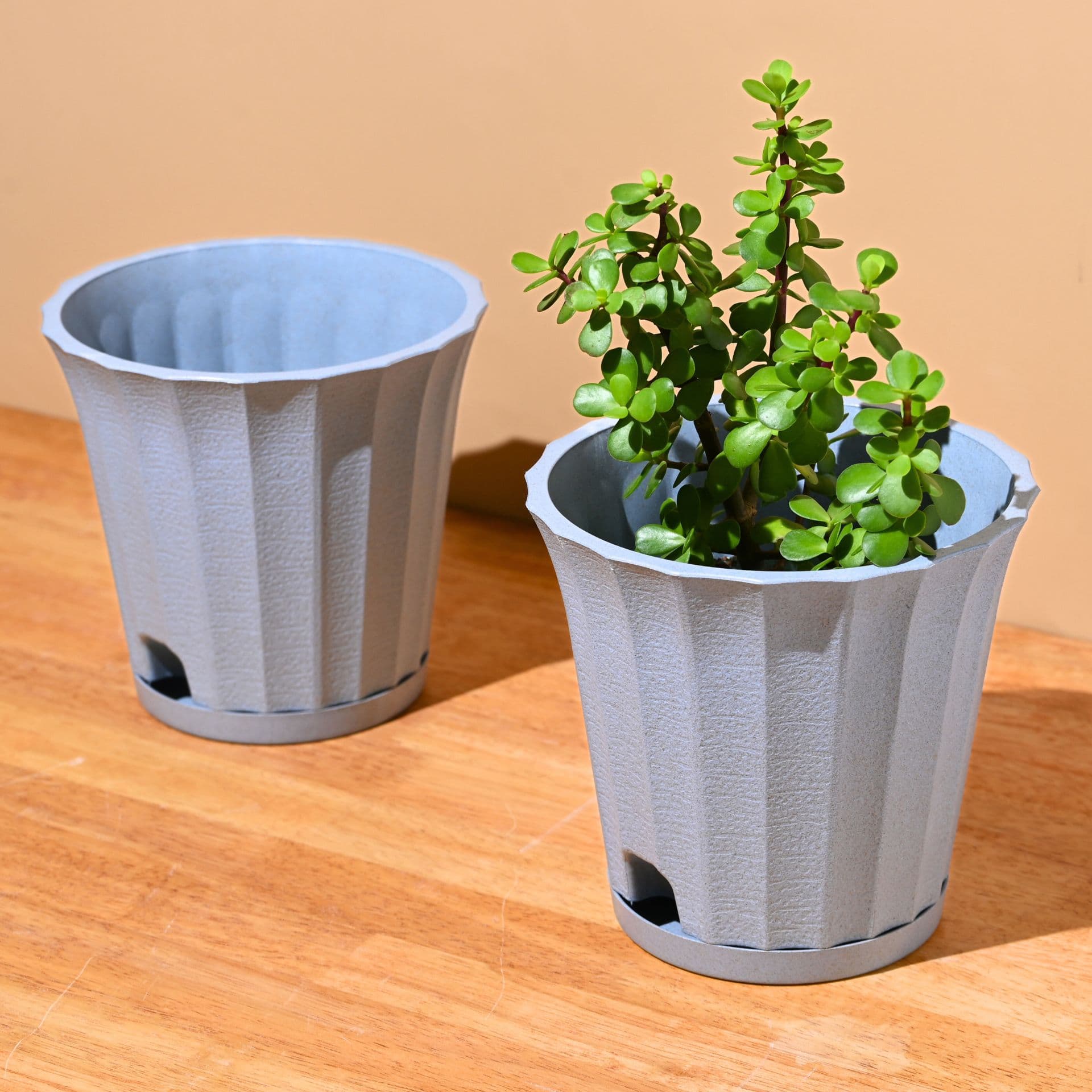 earth friendly ace 7 inch set of 2 small self watering pots for indoor plants plant pot made with bamboo fibers table top planters for home decor flower pot for living room - Thulira sustainable product