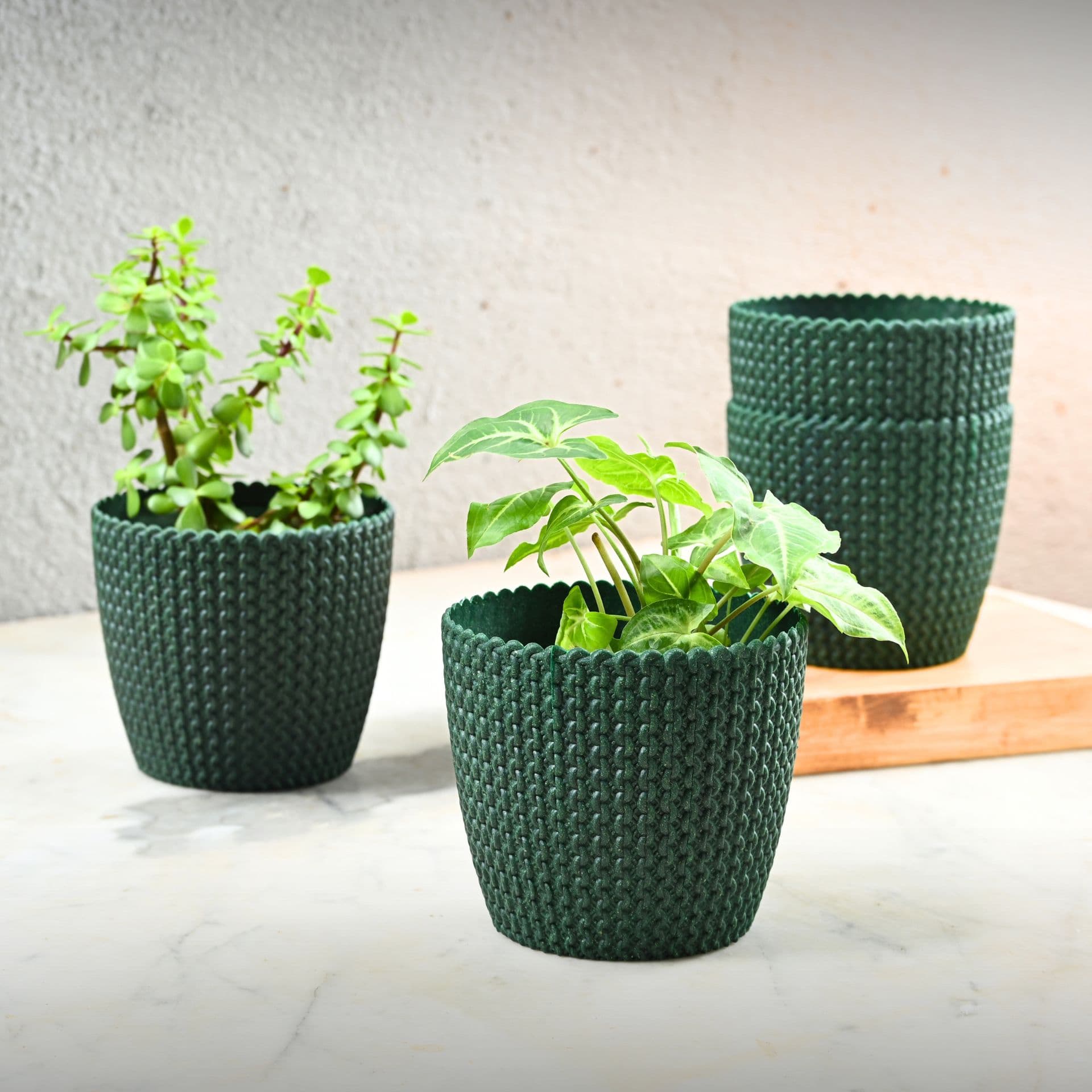 earth friendly link 5 5 inch set of 4 small pots for indoor plants plant pot made with bamboo fibers table top planters for home decor and office flower pot for living room - Thulira sustainable product