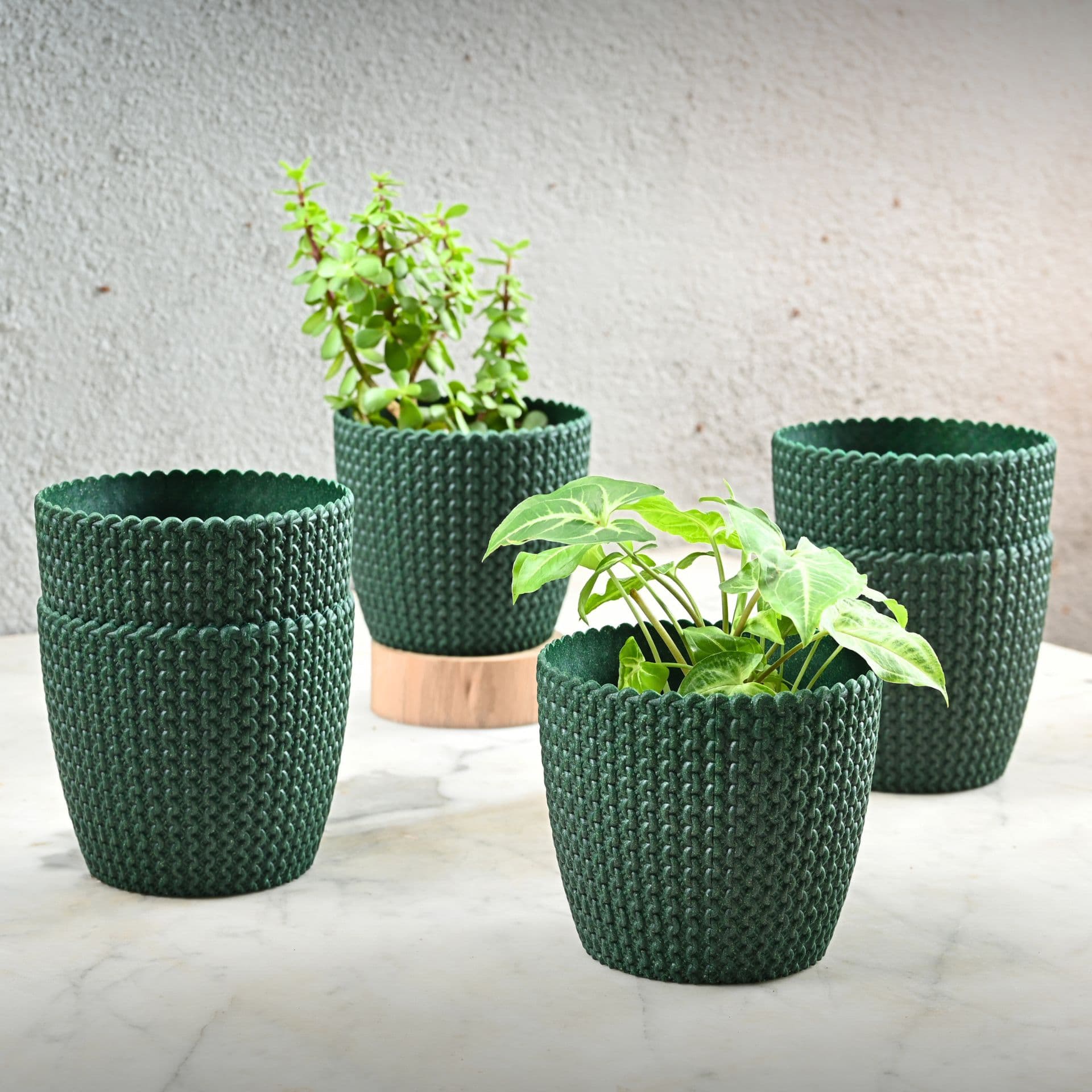 earth friendly link 5 5 inch set of 6 small pots for indoor plants plant pot made with bamboo fibers table top planters for home decor and office flower pot for living room - Thulira sustainable product