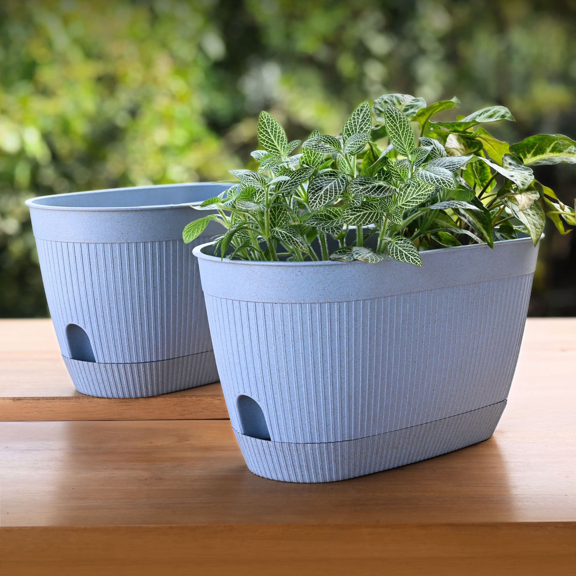 eva indoor oval planters made from rice husk - Thulira sustainable product