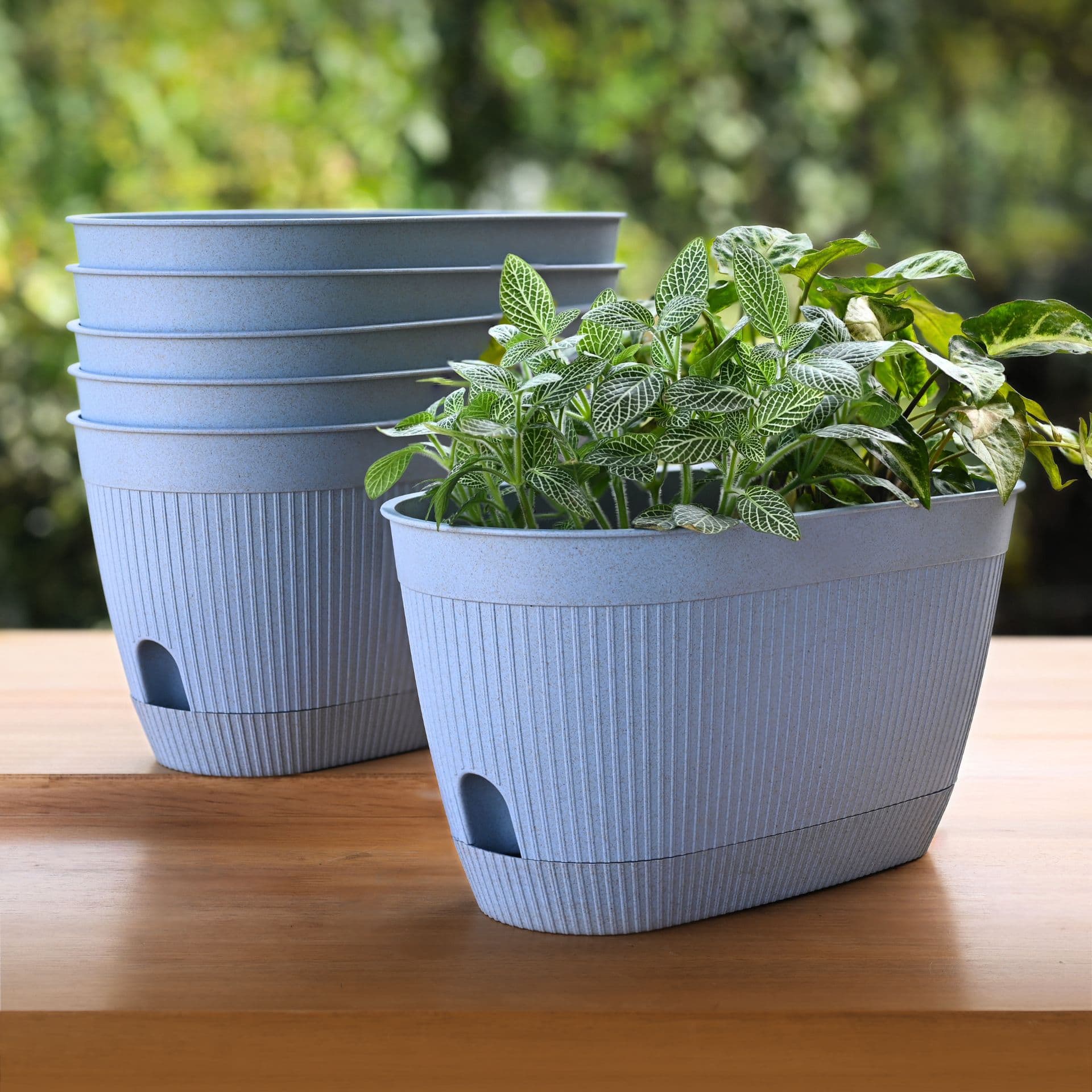 eva oval planter for home decor from biocomposites - Thulira sustainable product