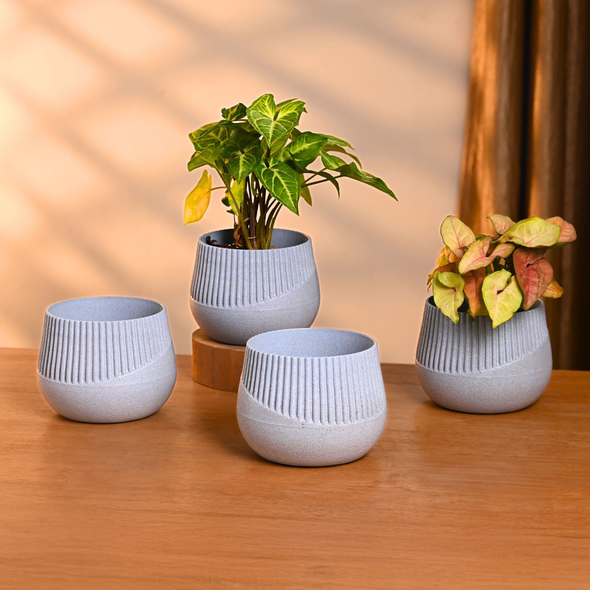 oreo tabletop planter from biocomposites - Thulira sustainable product
