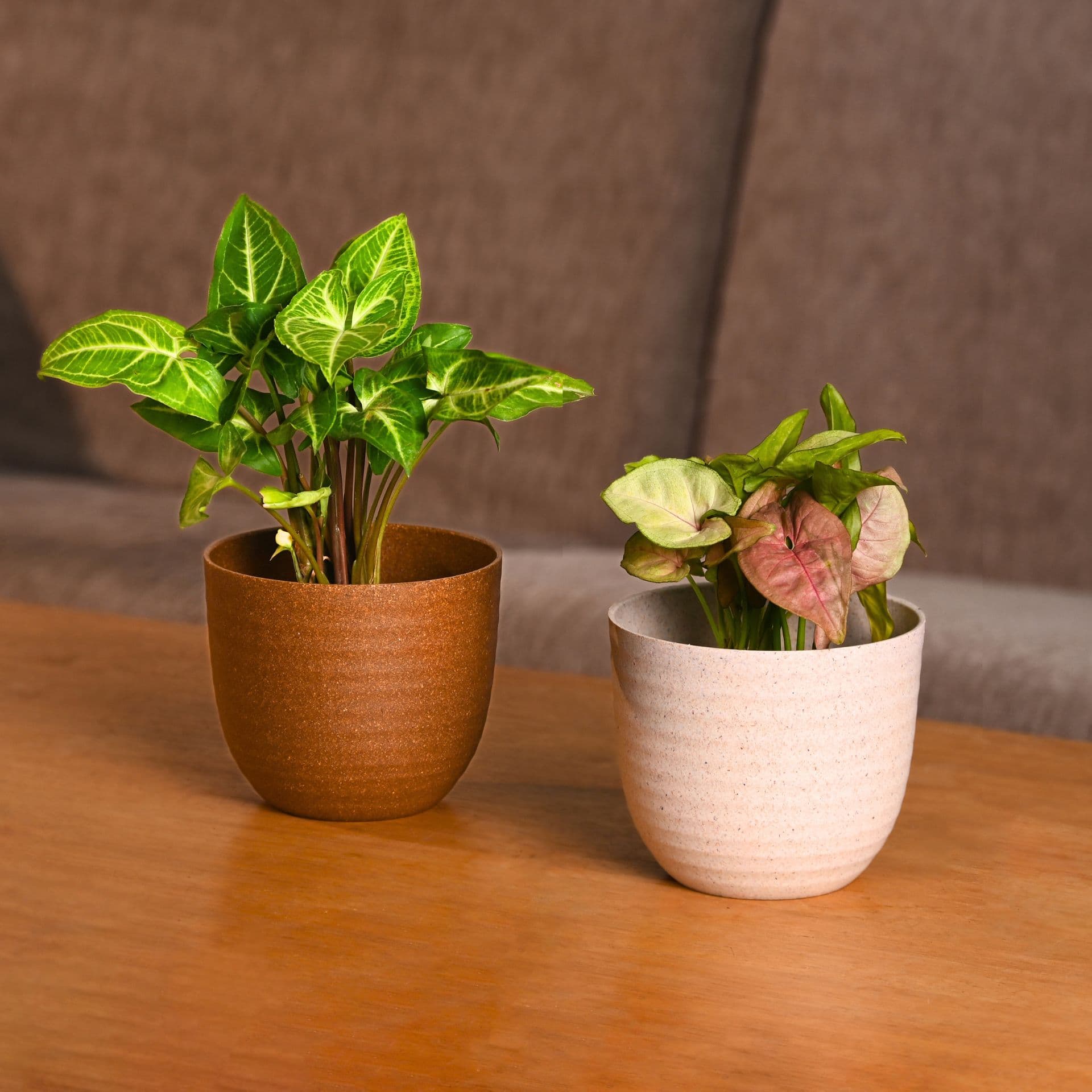 verona 4 inch round tabletop planter from biocomposites - Thulira sustainable product