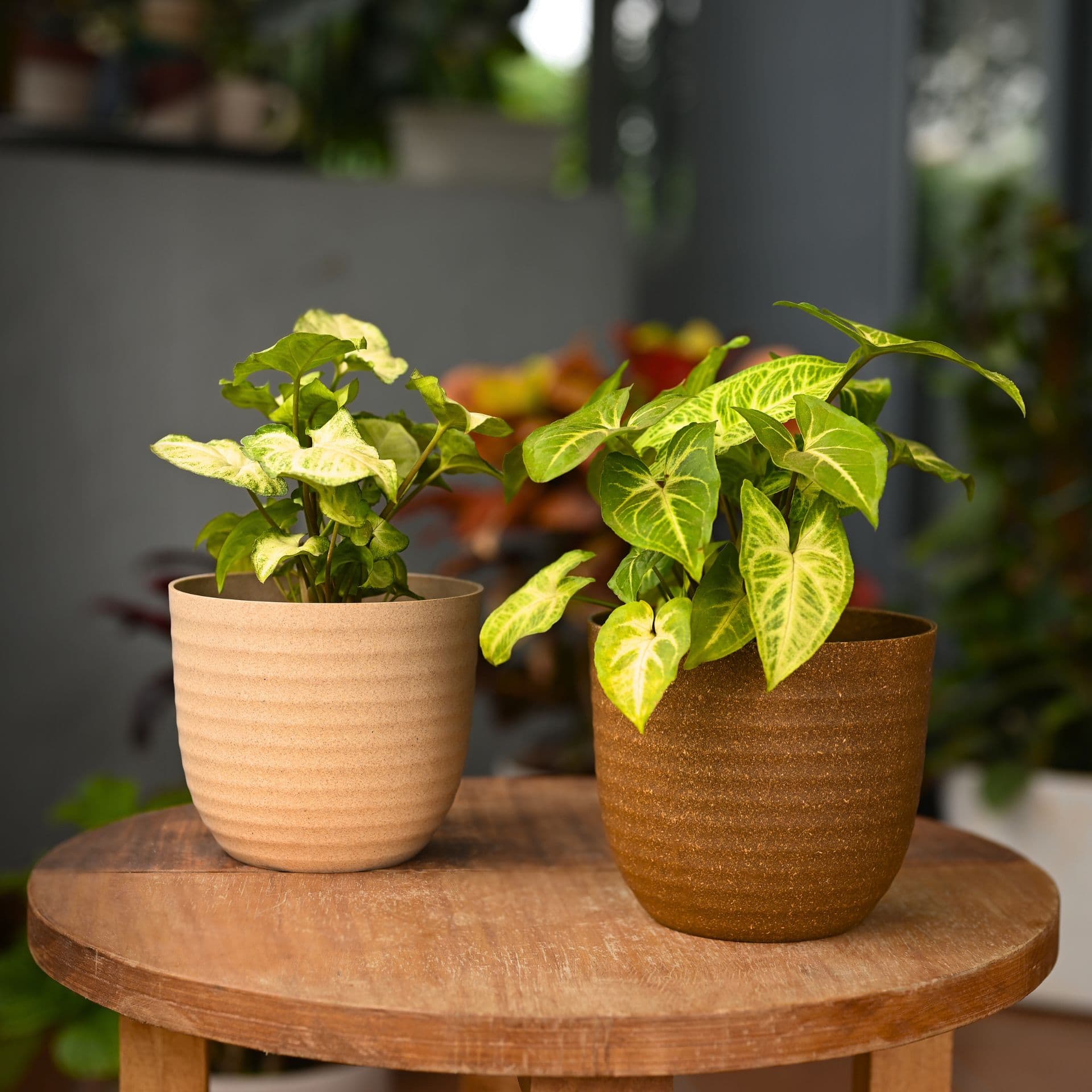 verona 5 inch small round planters from bamboo fiber - Thulira sustainable product