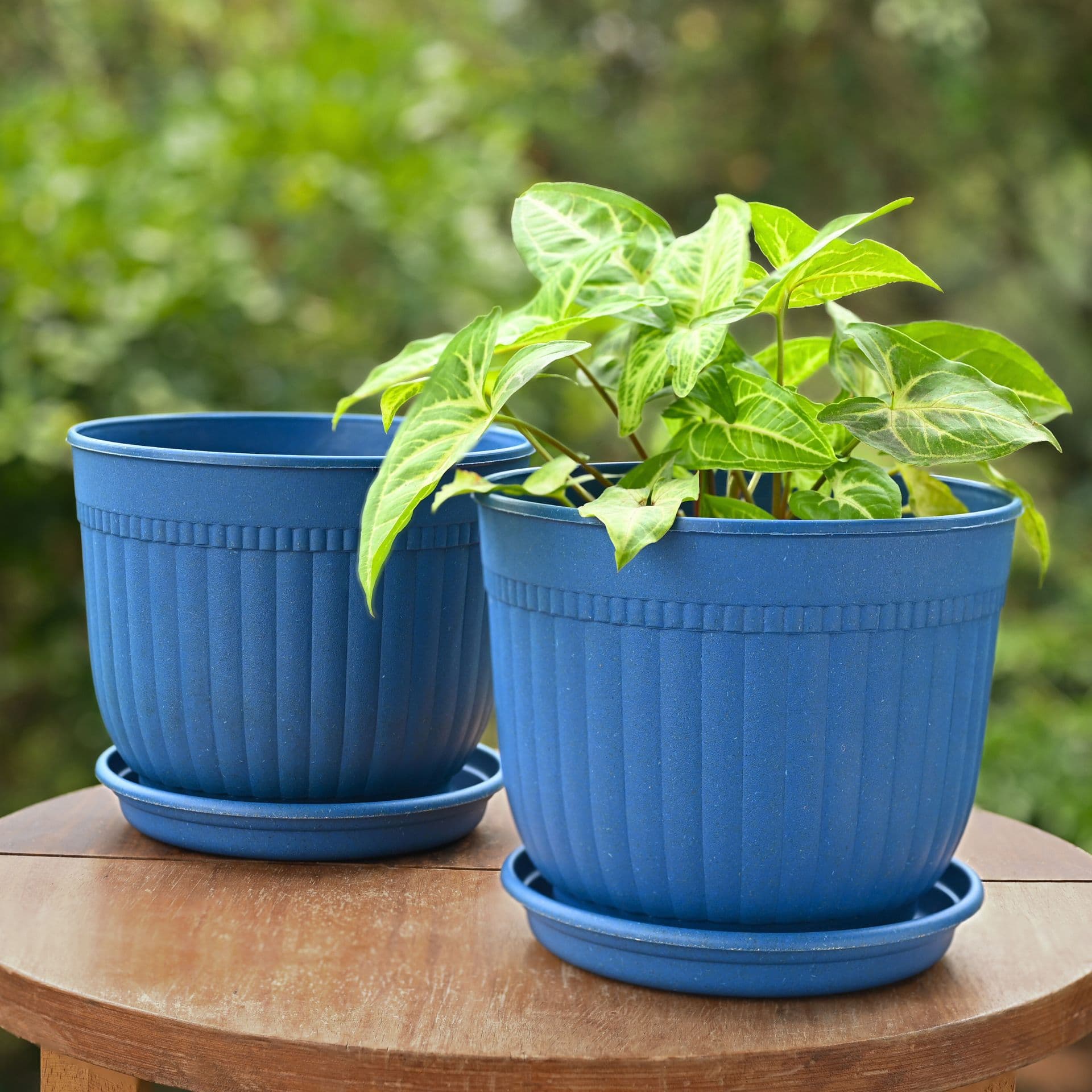 eha earth friendly petal pot 7 inch pack of 2 pots for plants bamboo based plant pots uv protected planters for home indoor outdoor balcony garden flower pots - Thulira sustainable product