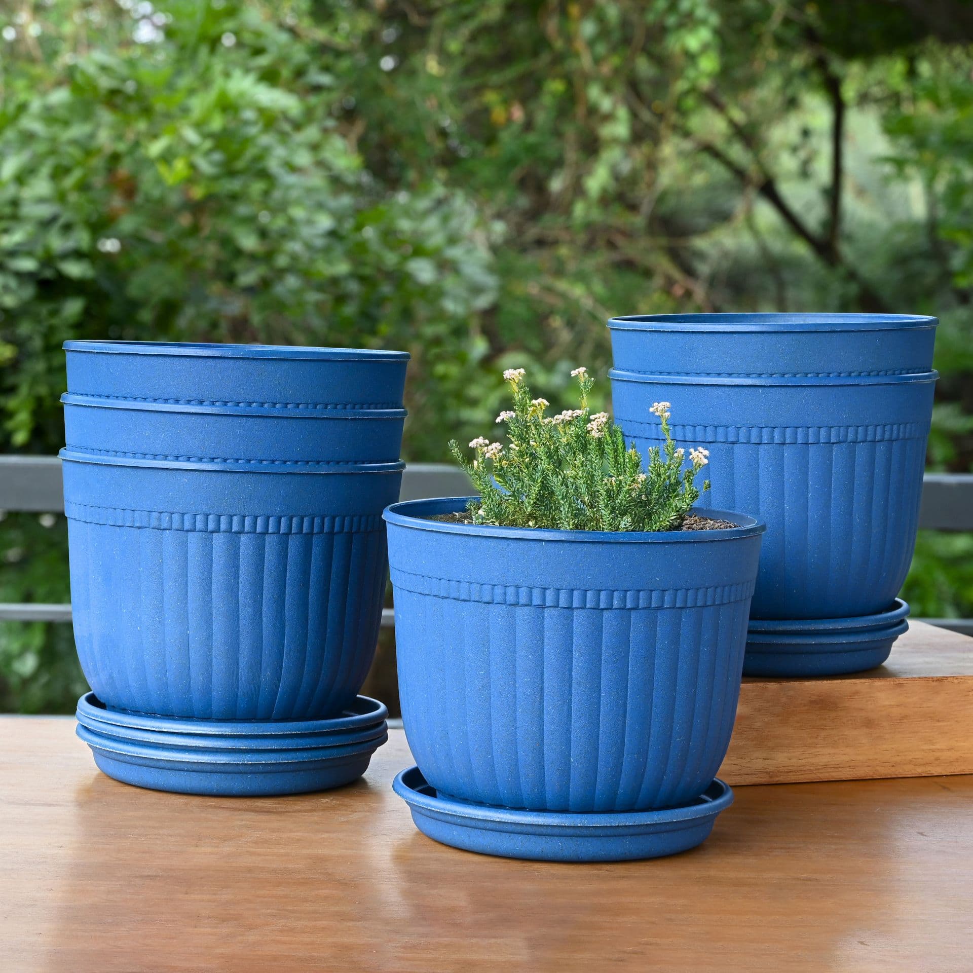 eha earth friendly petal pot 7 inch pack of 6 pots for plants bamboo based plant pots uv protected planters for home indoor outdoor balcony garden flower pots - View 1